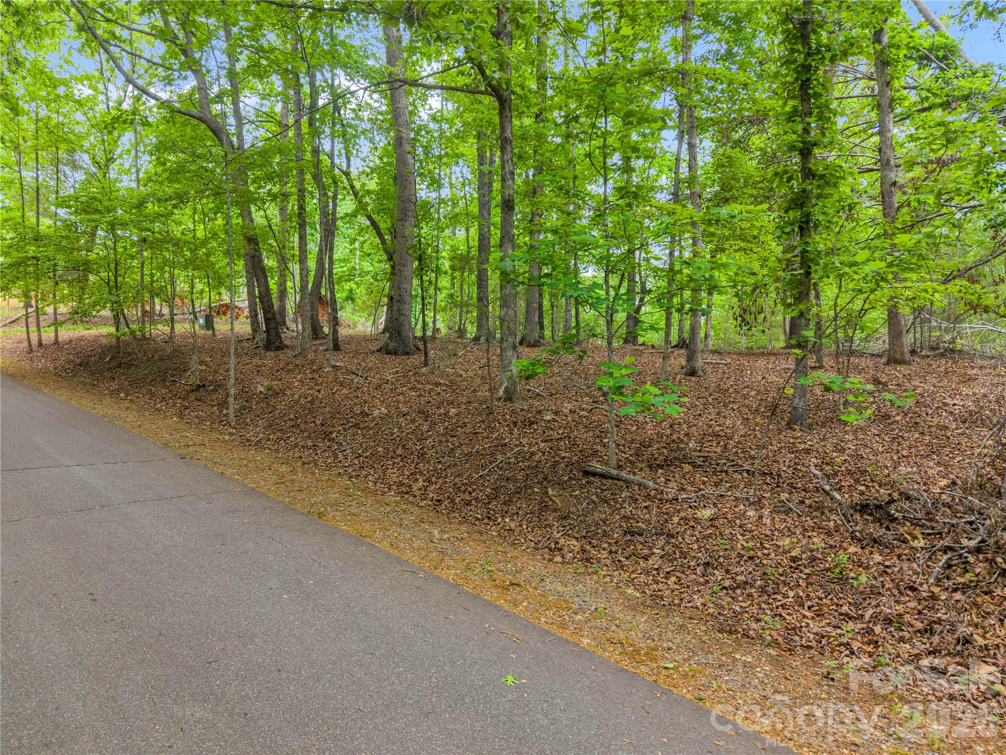 0 Wilderness Ridge Rutherfordton NC 28139