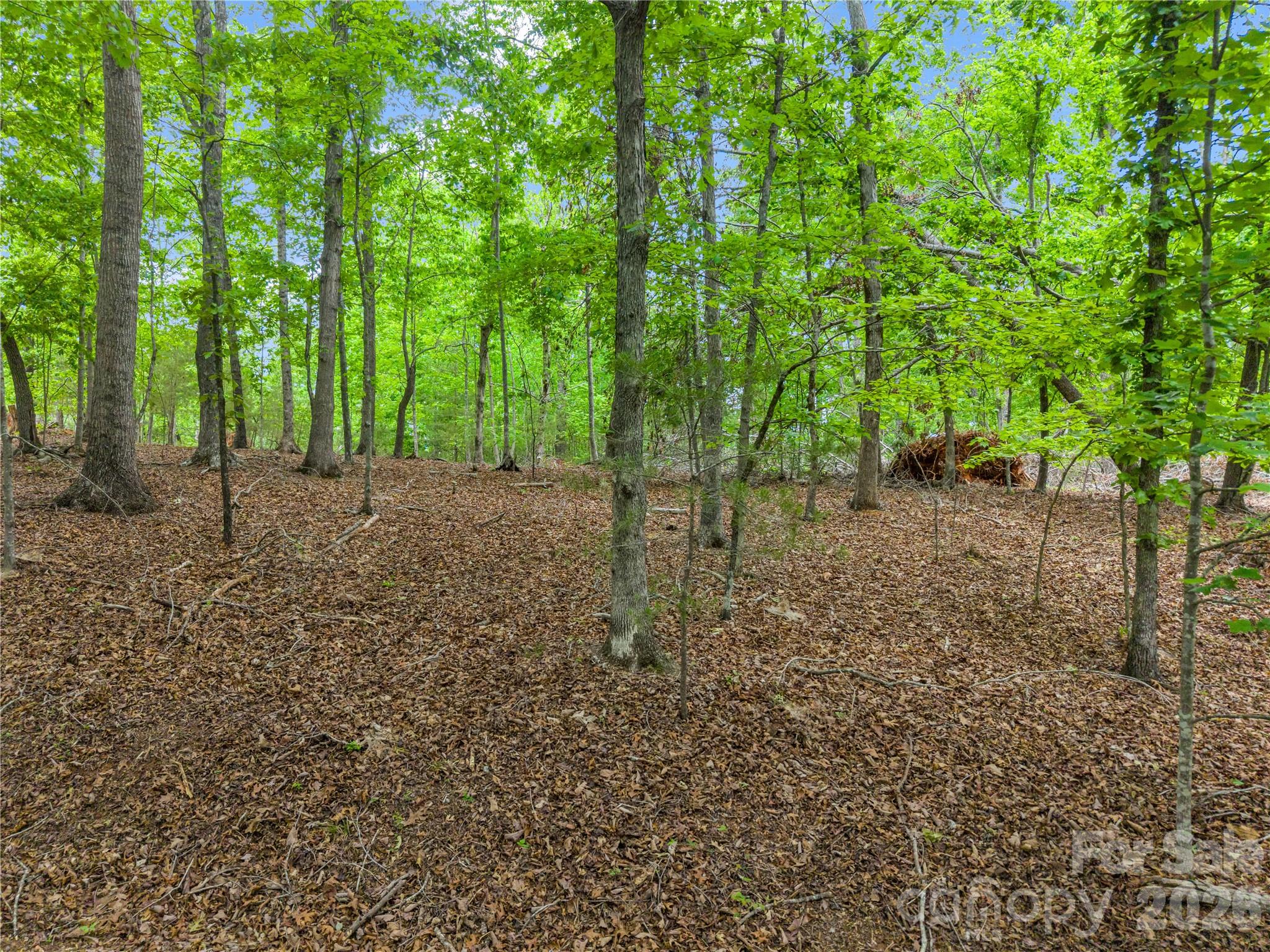 0 Wilderness Ridge Rutherfordton NC 28139