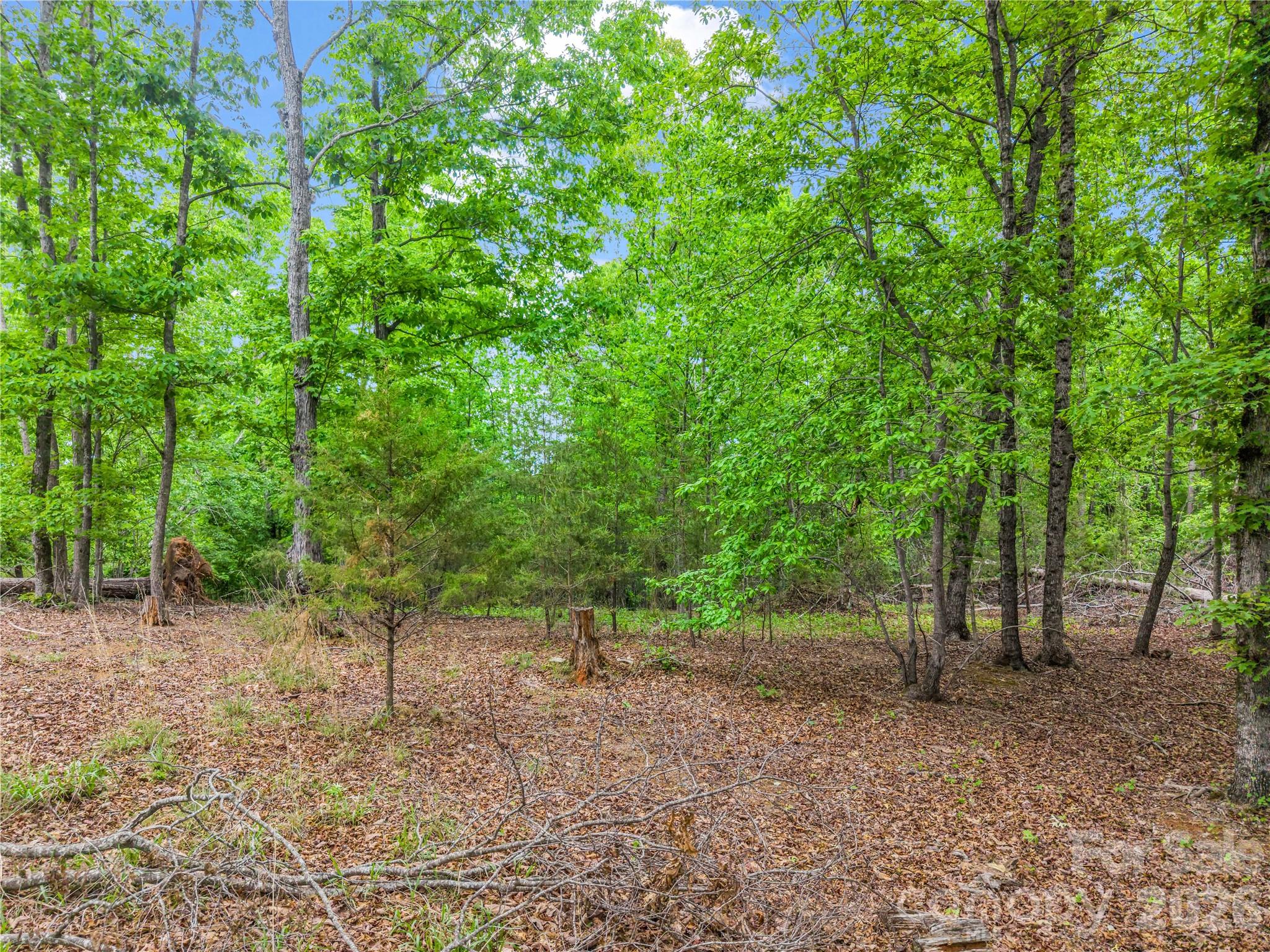 0 Wilderness Ridge Rutherfordton NC 28139
