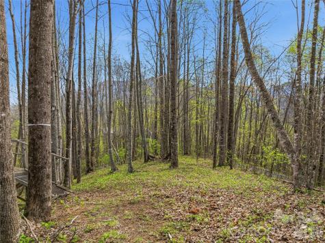 #227 Flying Dutchman Road Sylva NC 28779