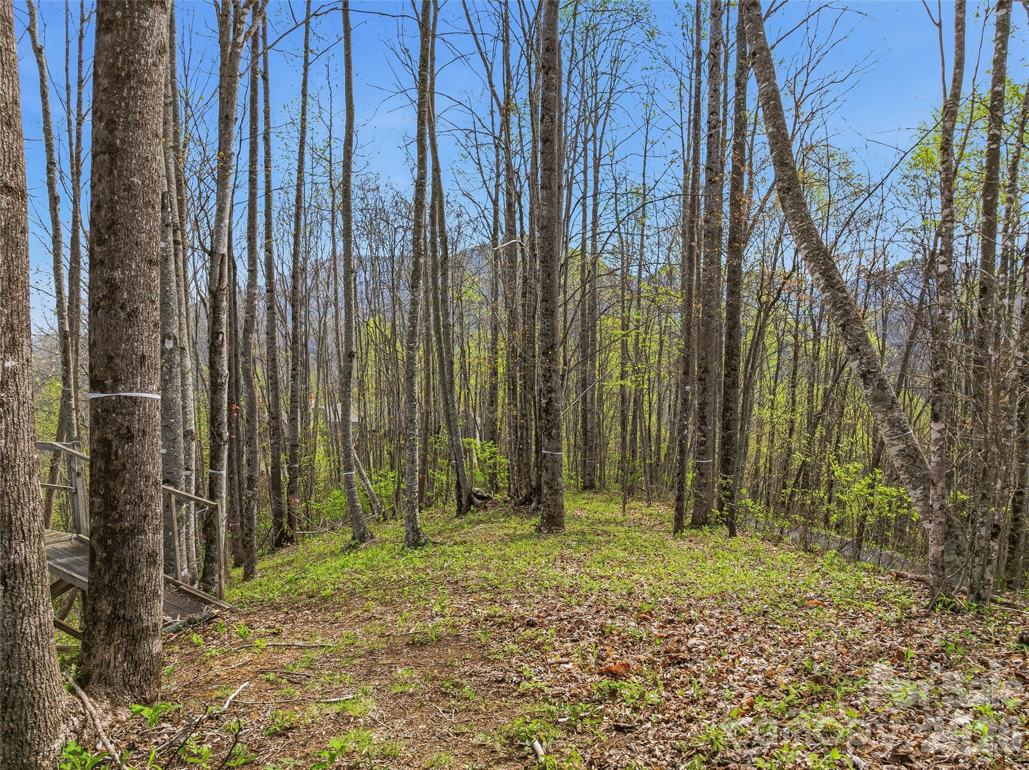 #227 Flying Dutchman Road Sylva NC 28779
