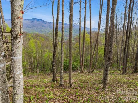 #227 Flying Dutchman Road Sylva NC 28779