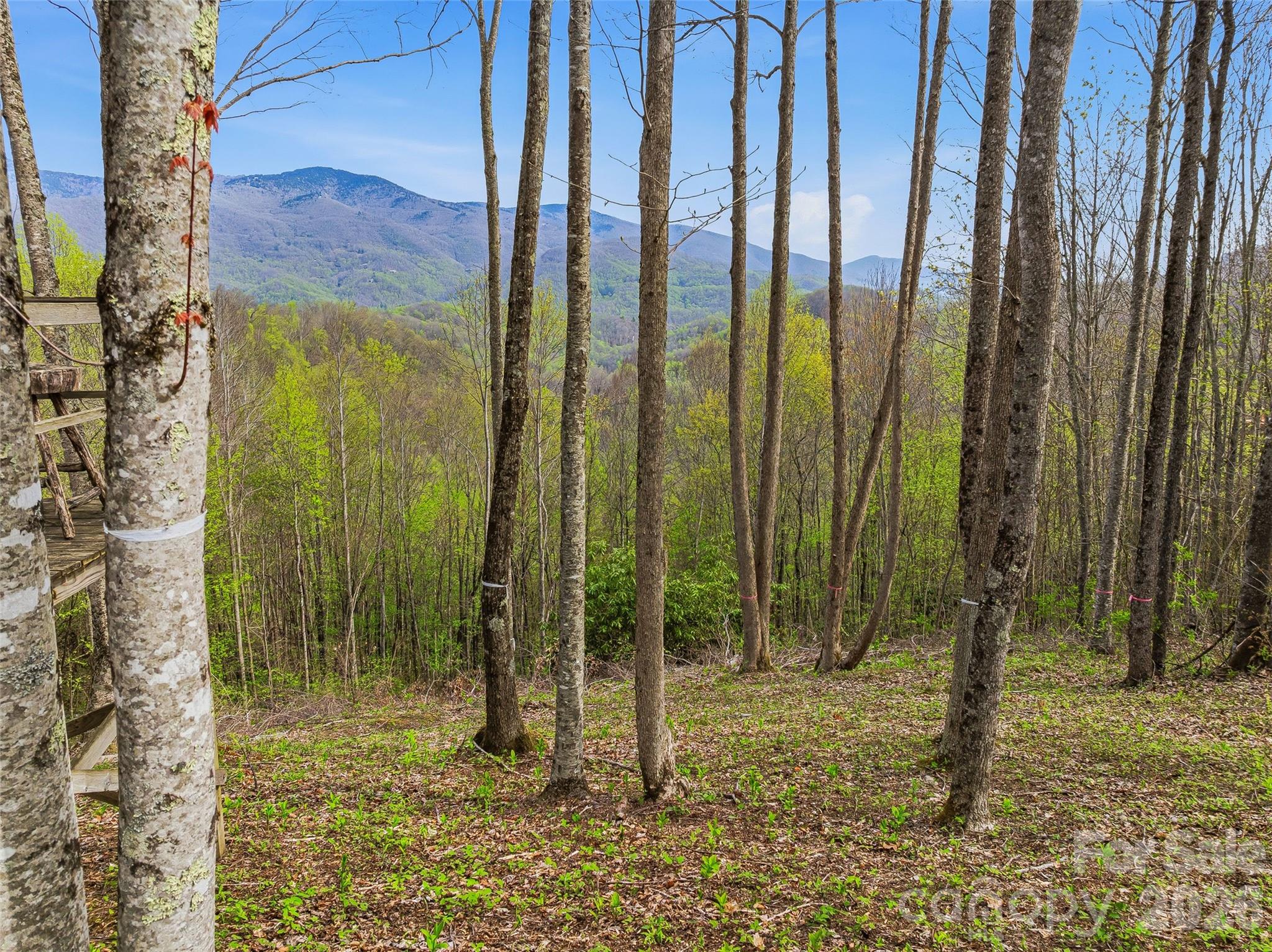 #227 Flying Dutchman Road Sylva NC 28779