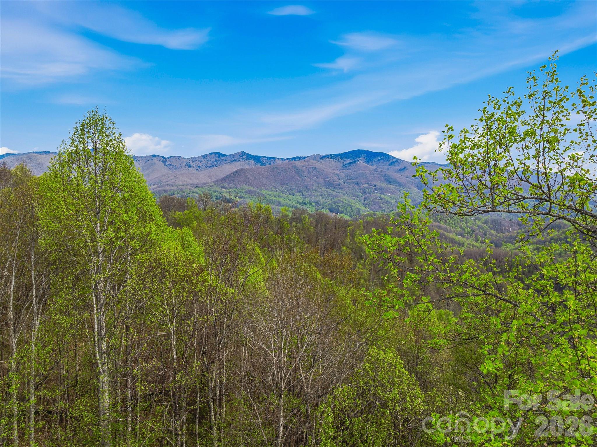 #227 Flying Dutchman Road Sylva NC 28779