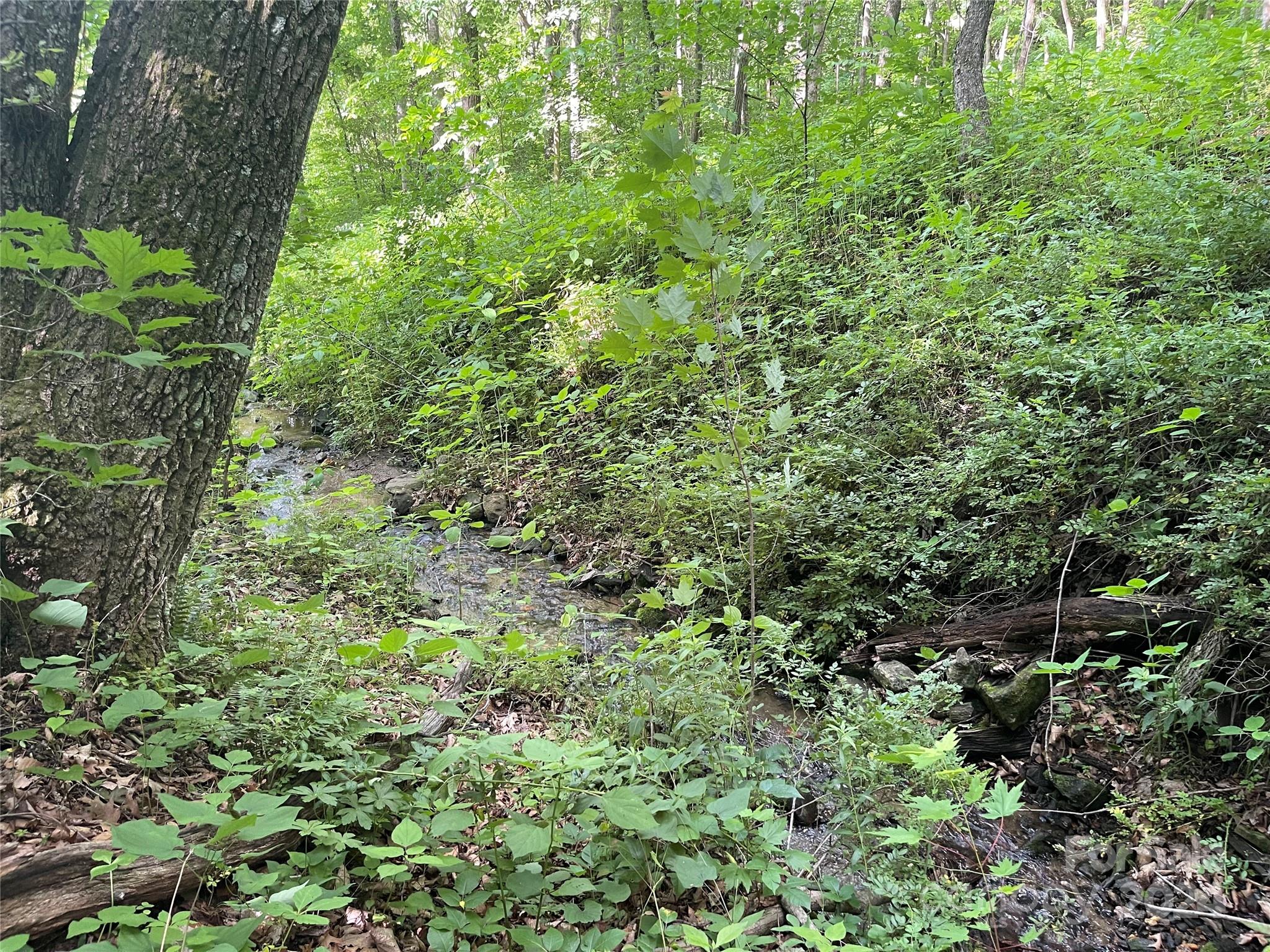 Tbd Mountain Glen Road Canton NC 28716