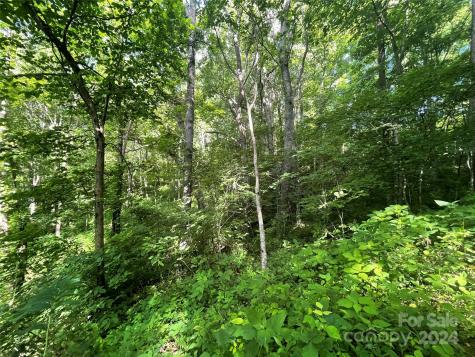 Tbd Mountain Glen Road Canton NC 28716