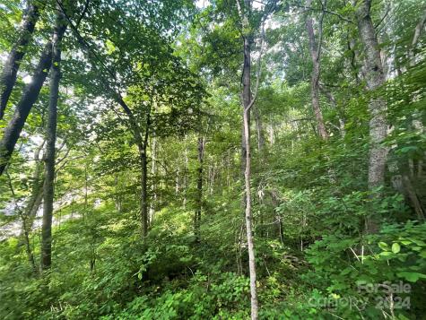 Tbd Mountain Glen Road Canton NC 28716