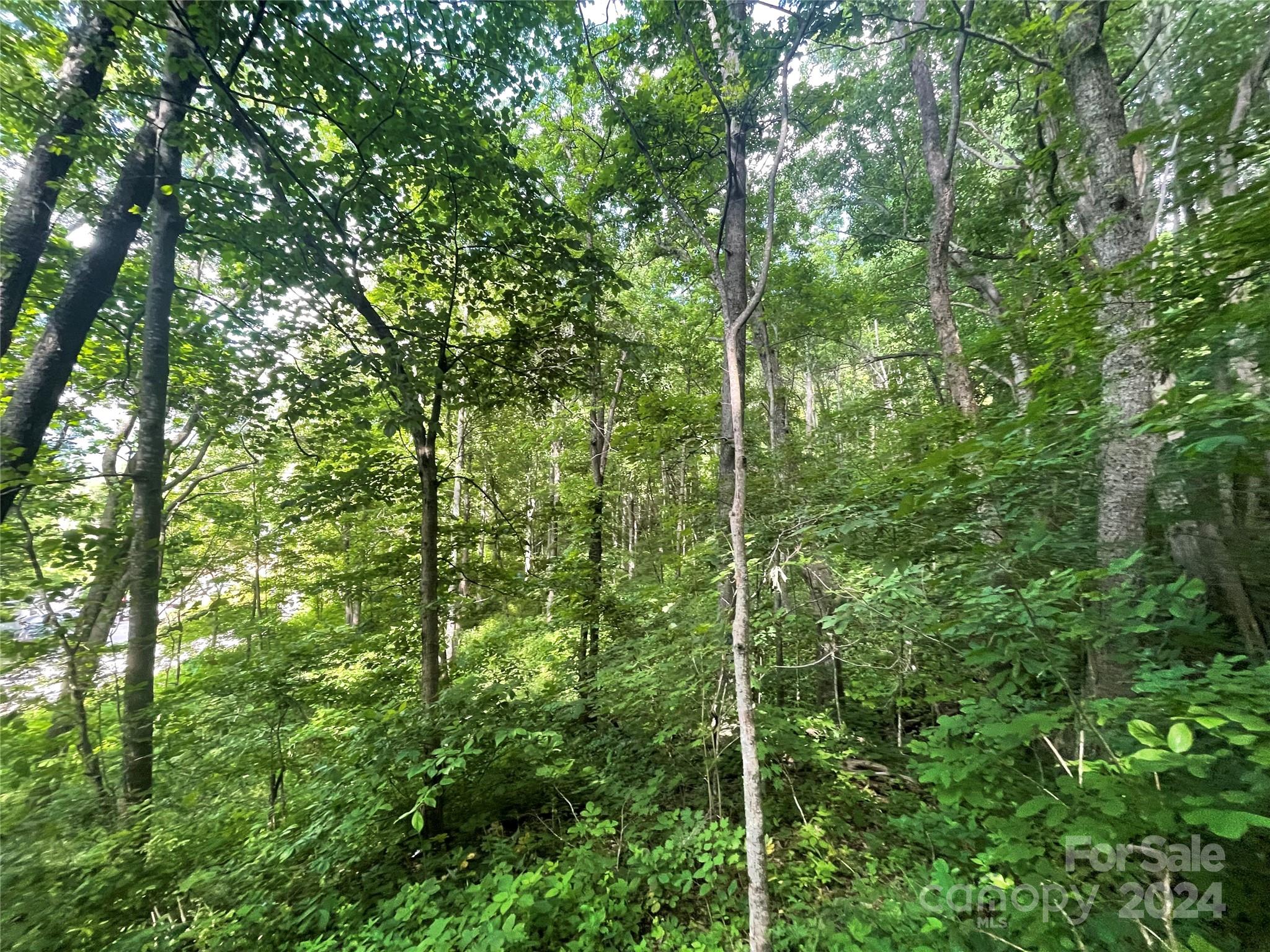 Tbd Mountain Glen Road Canton NC 28716