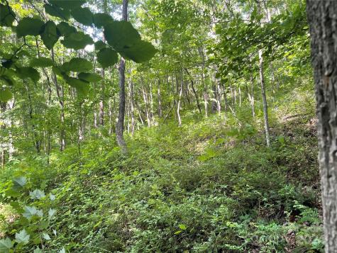 Tbd Mountain Glen Road Canton NC 28716