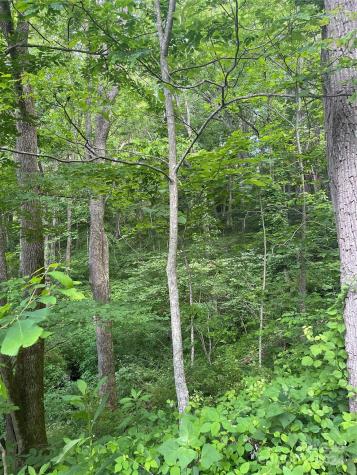 Tbd Mountain Glen Road Canton NC 28716