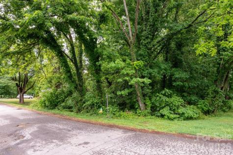 99 Maple Avenue Candler NC 28715