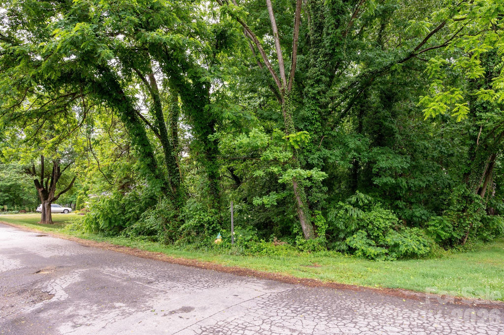 99 Maple Avenue Candler NC 28715