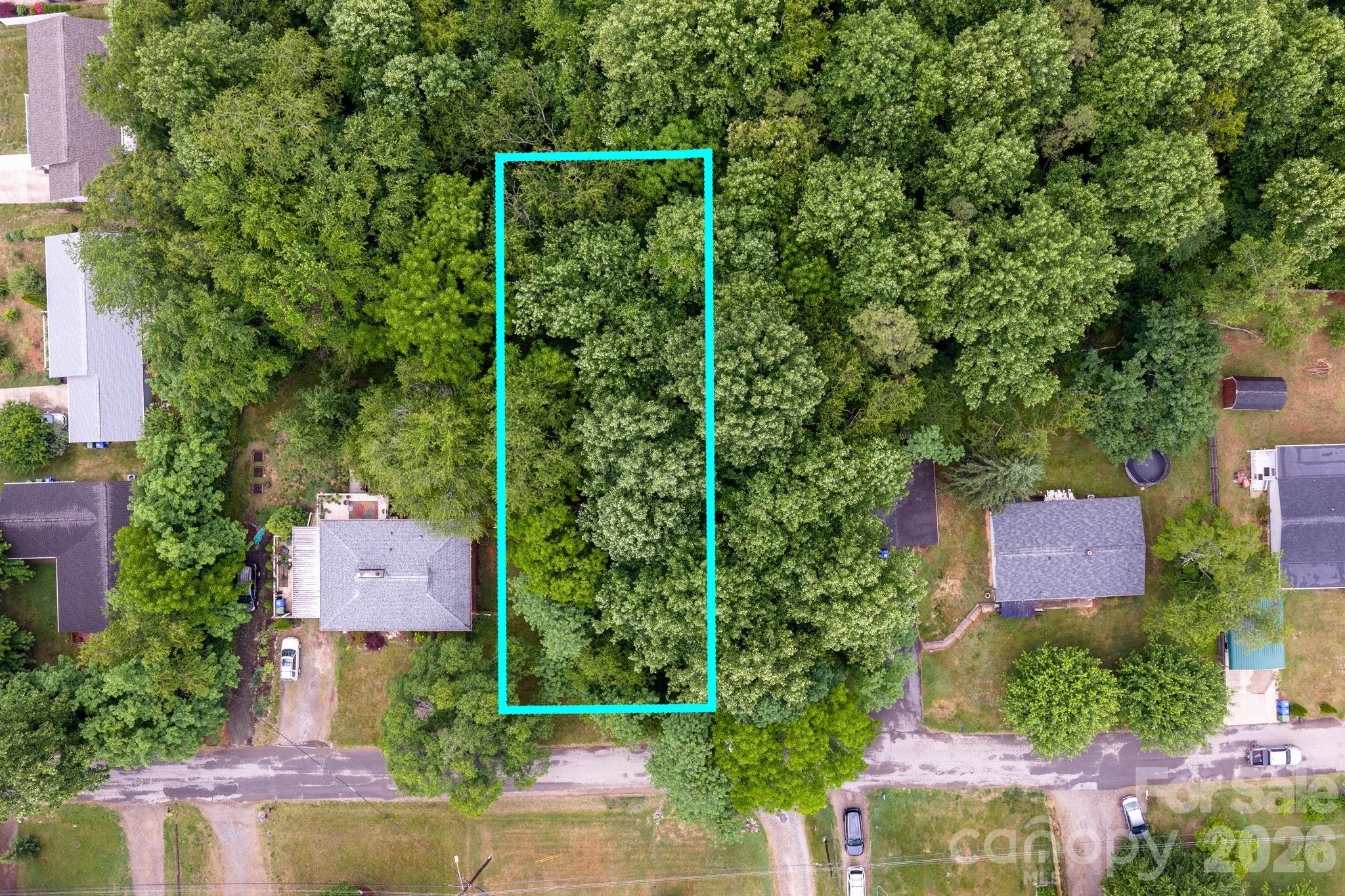 99 Maple Avenue Candler NC 28715