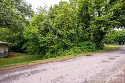 99 Maple Avenue Candler NC 28715