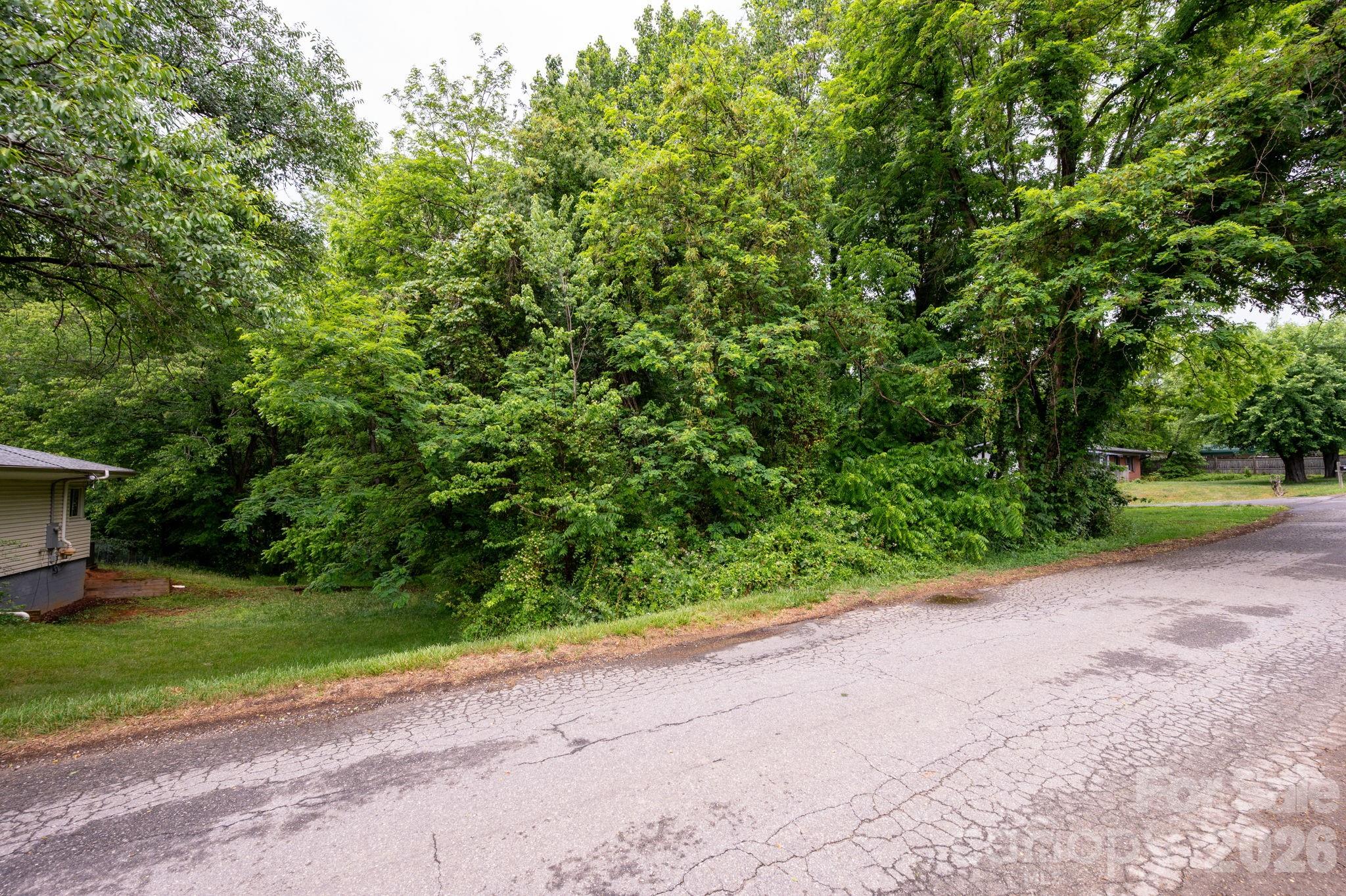 99 Maple Avenue Candler NC 28715