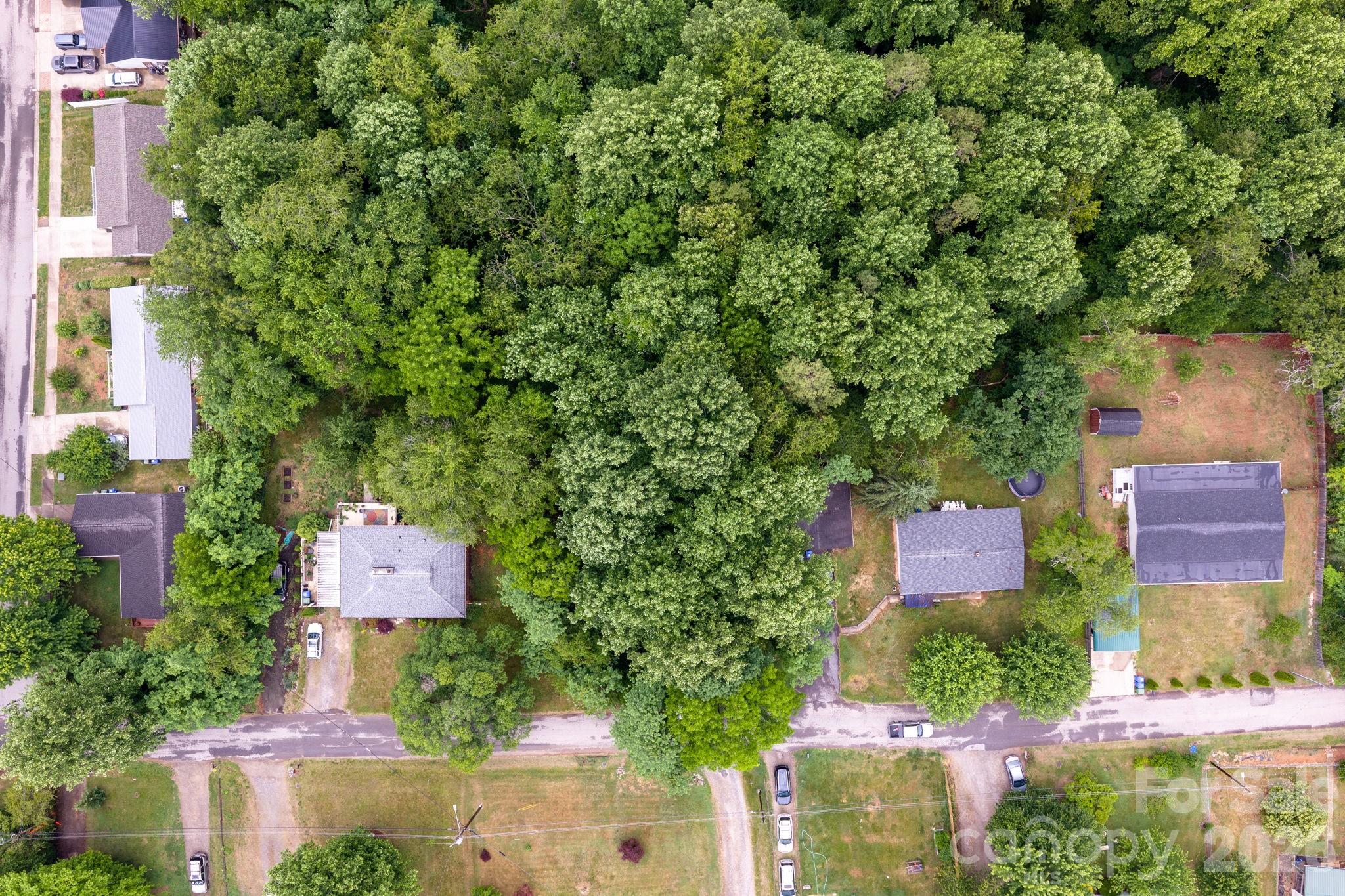99 Maple Avenue Candler NC 28715
