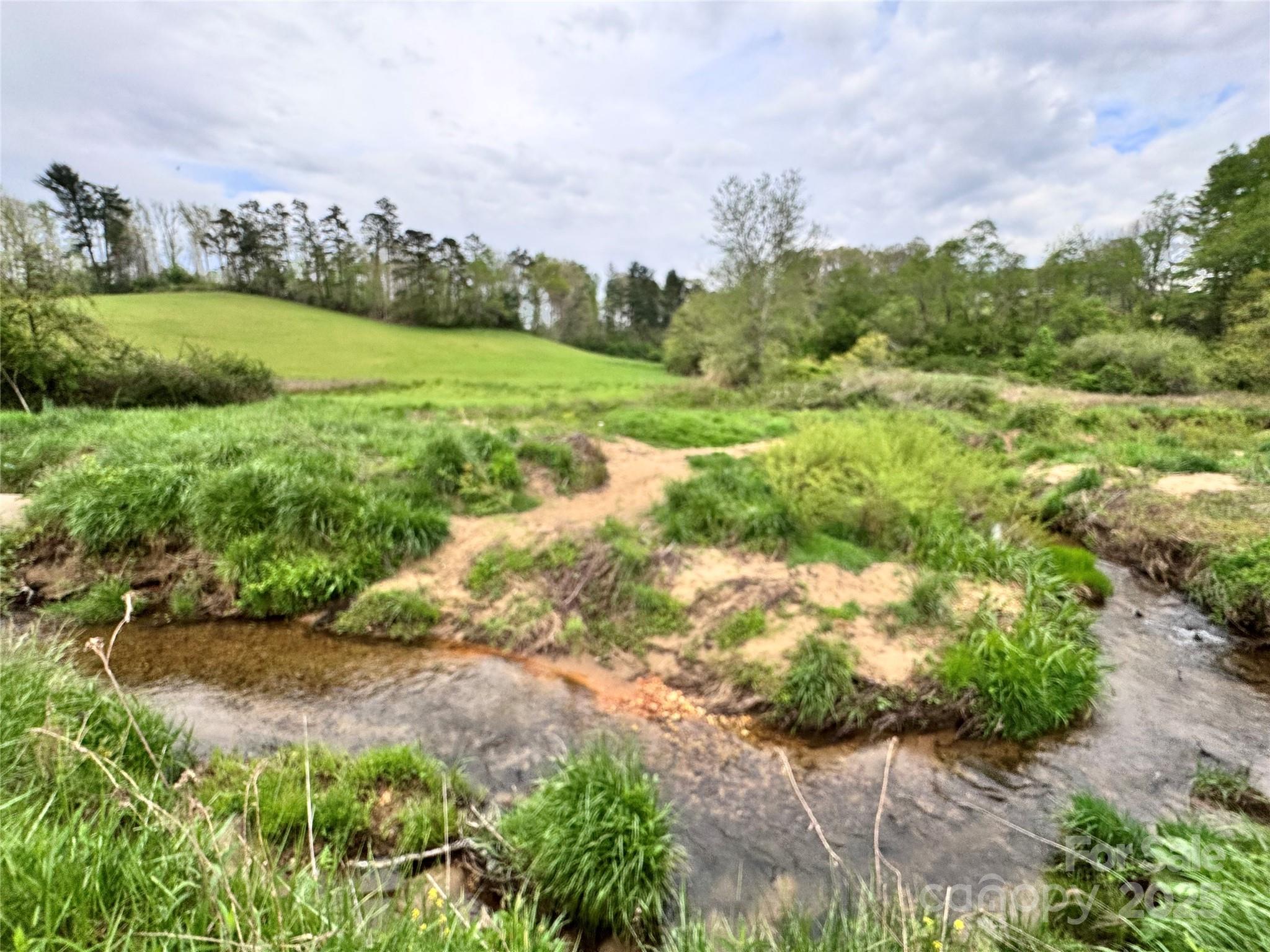 38 Flourish Farm Lane Asheville NC 28806