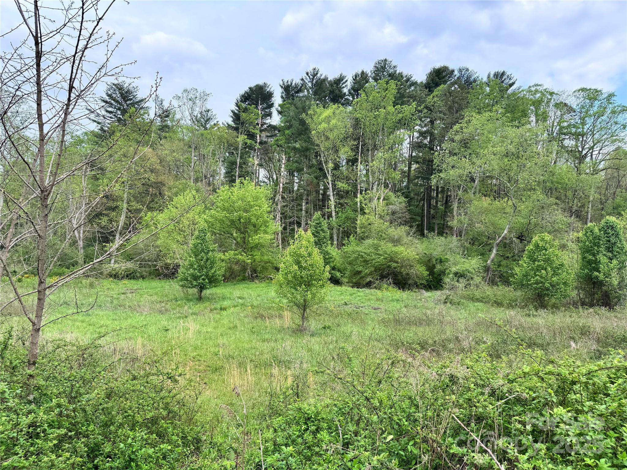 38 Flourish Farm Lane Asheville NC 28806