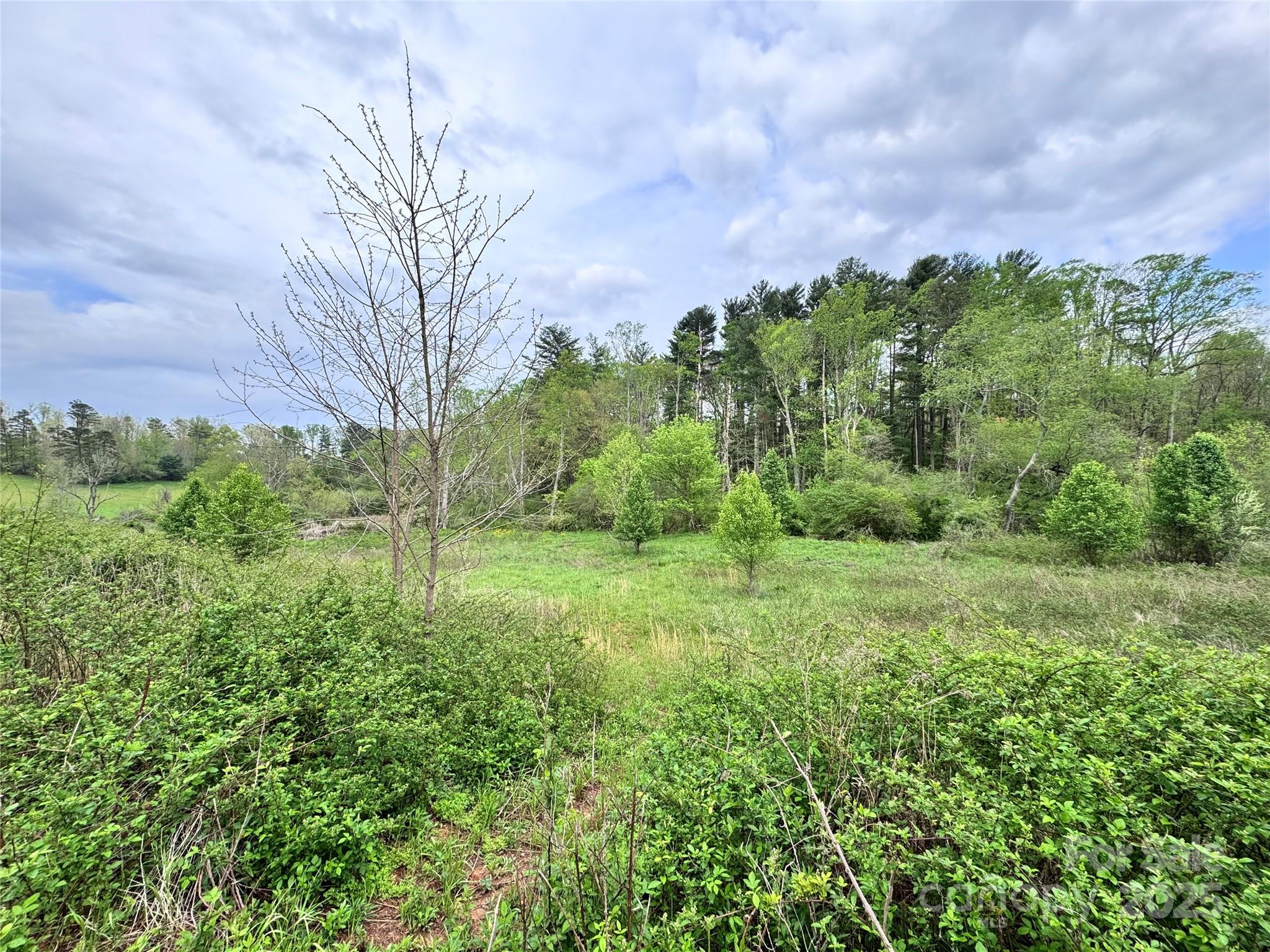 38 Flourish Farm Lane Asheville NC 28806