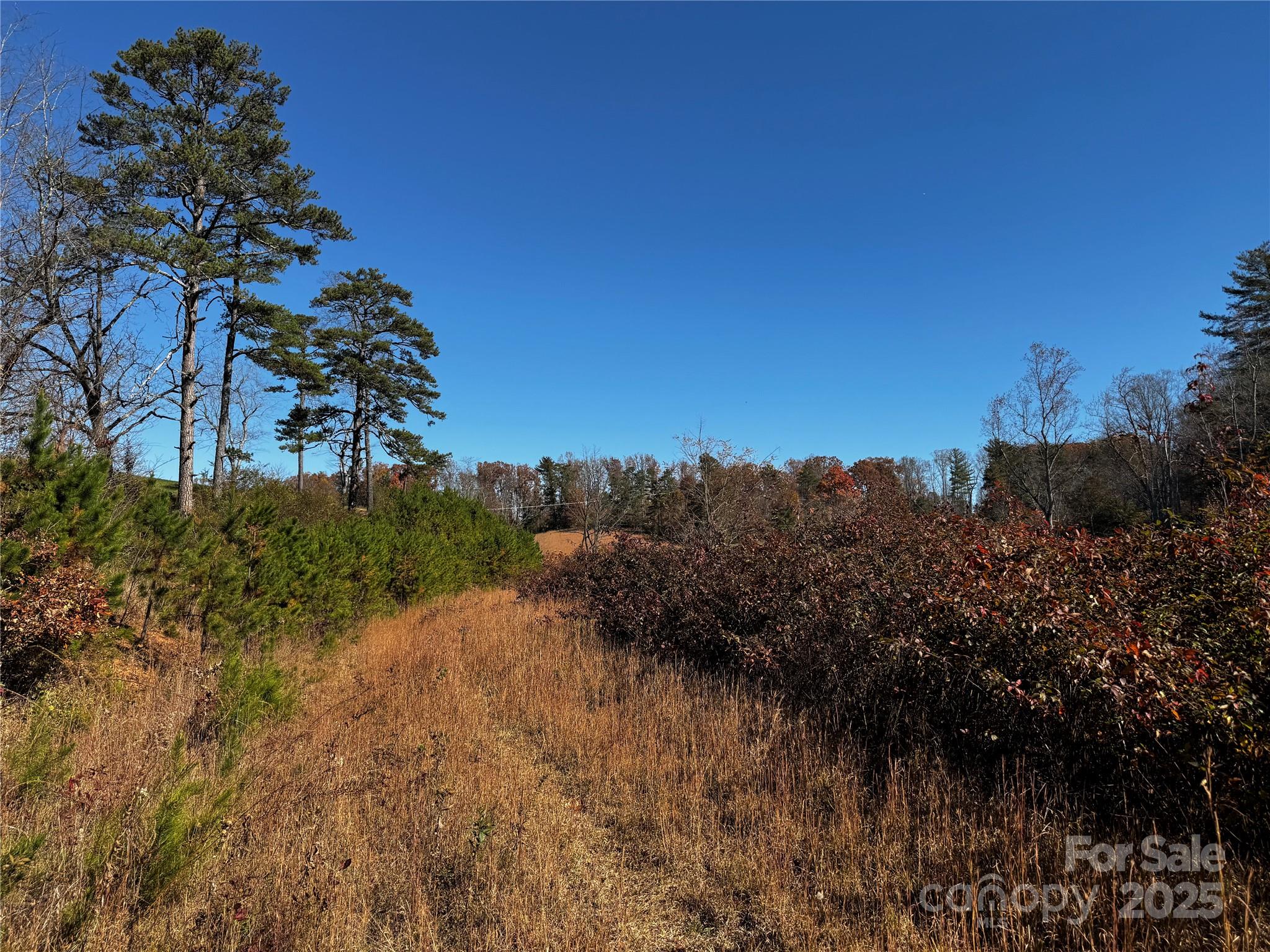 38 Flourish Farm Lane Asheville NC 28806