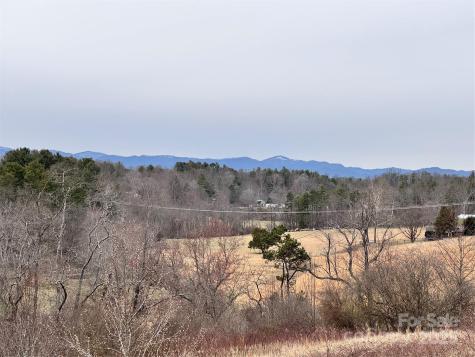 38 Flourish Farm Lane Asheville NC 28806