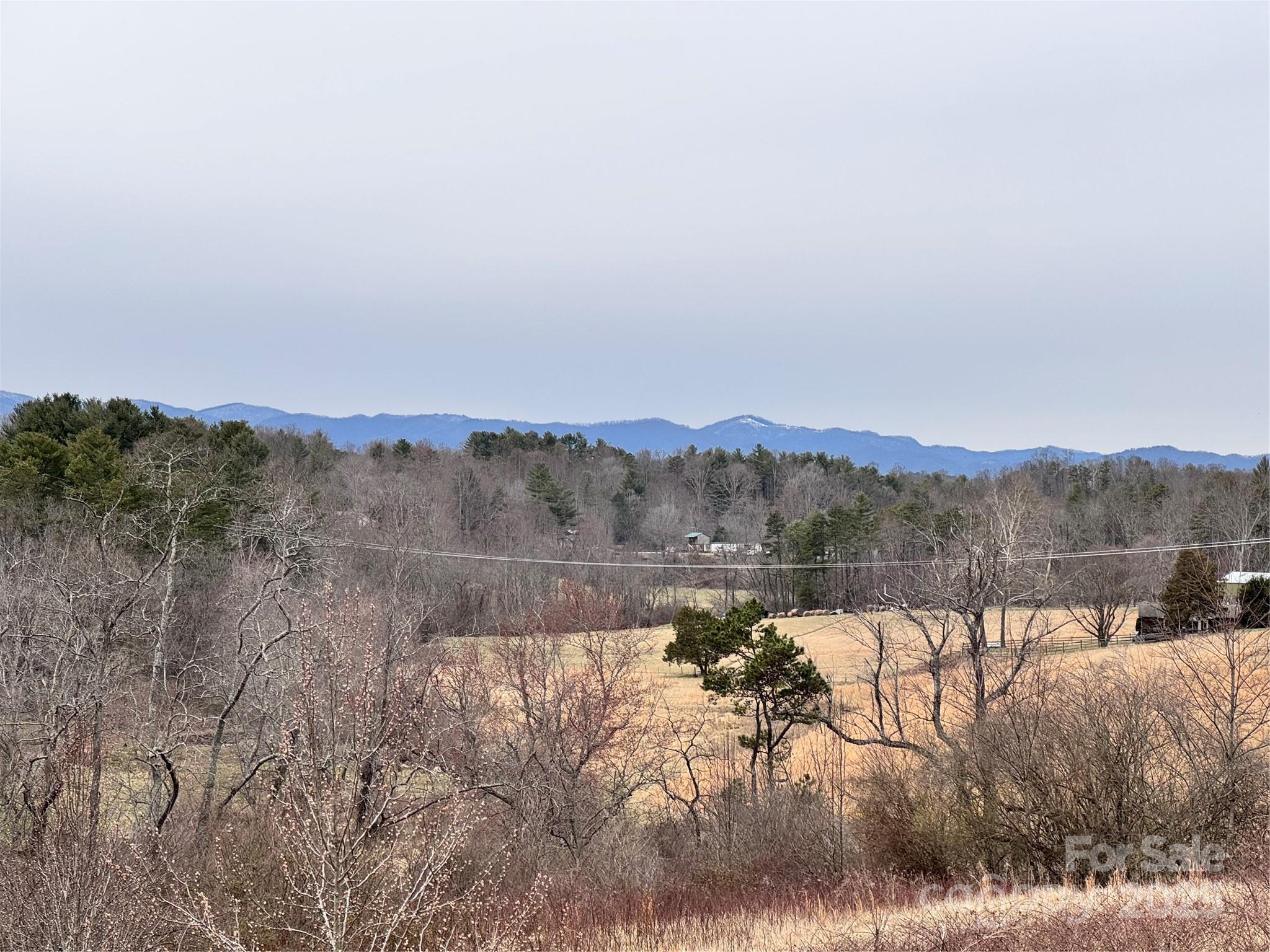 38 Flourish Farm Lane Asheville NC 28806