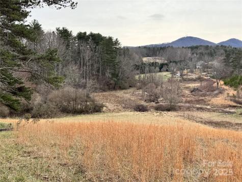 38 Flourish Farm Lane Asheville NC 28806
