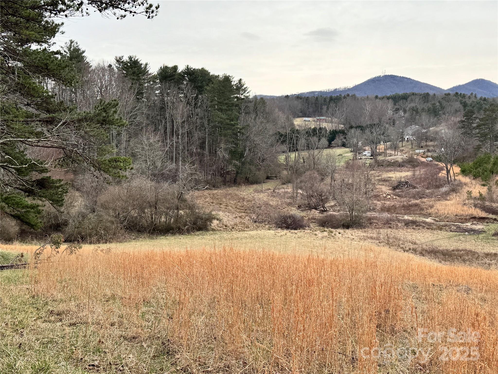 38 Flourish Farm Lane Asheville NC 28806