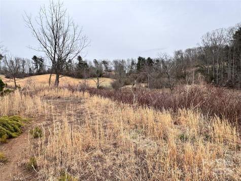 38 Flourish Farm Lane Asheville NC 28806