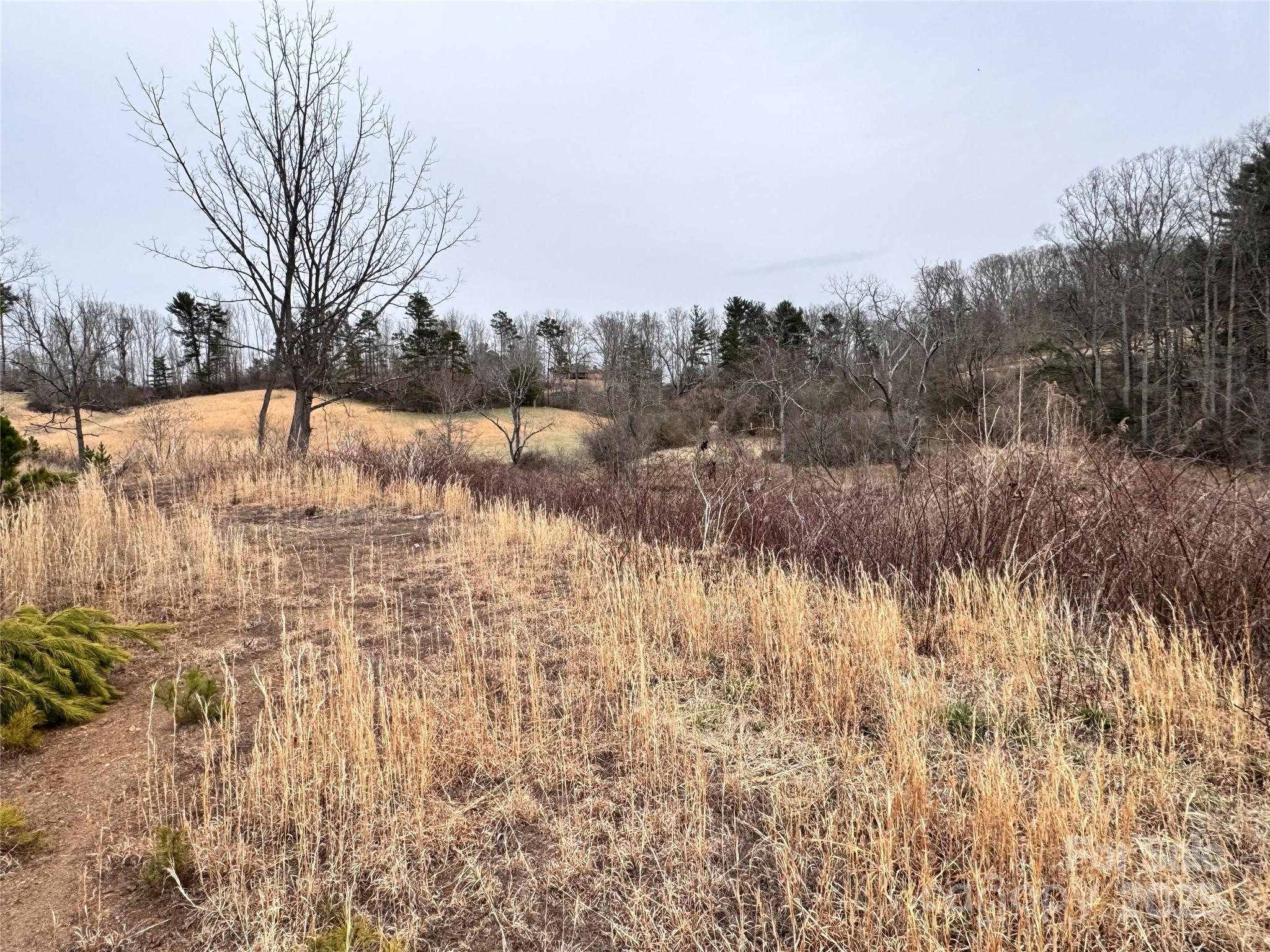 38 Flourish Farm Lane Asheville NC 28806