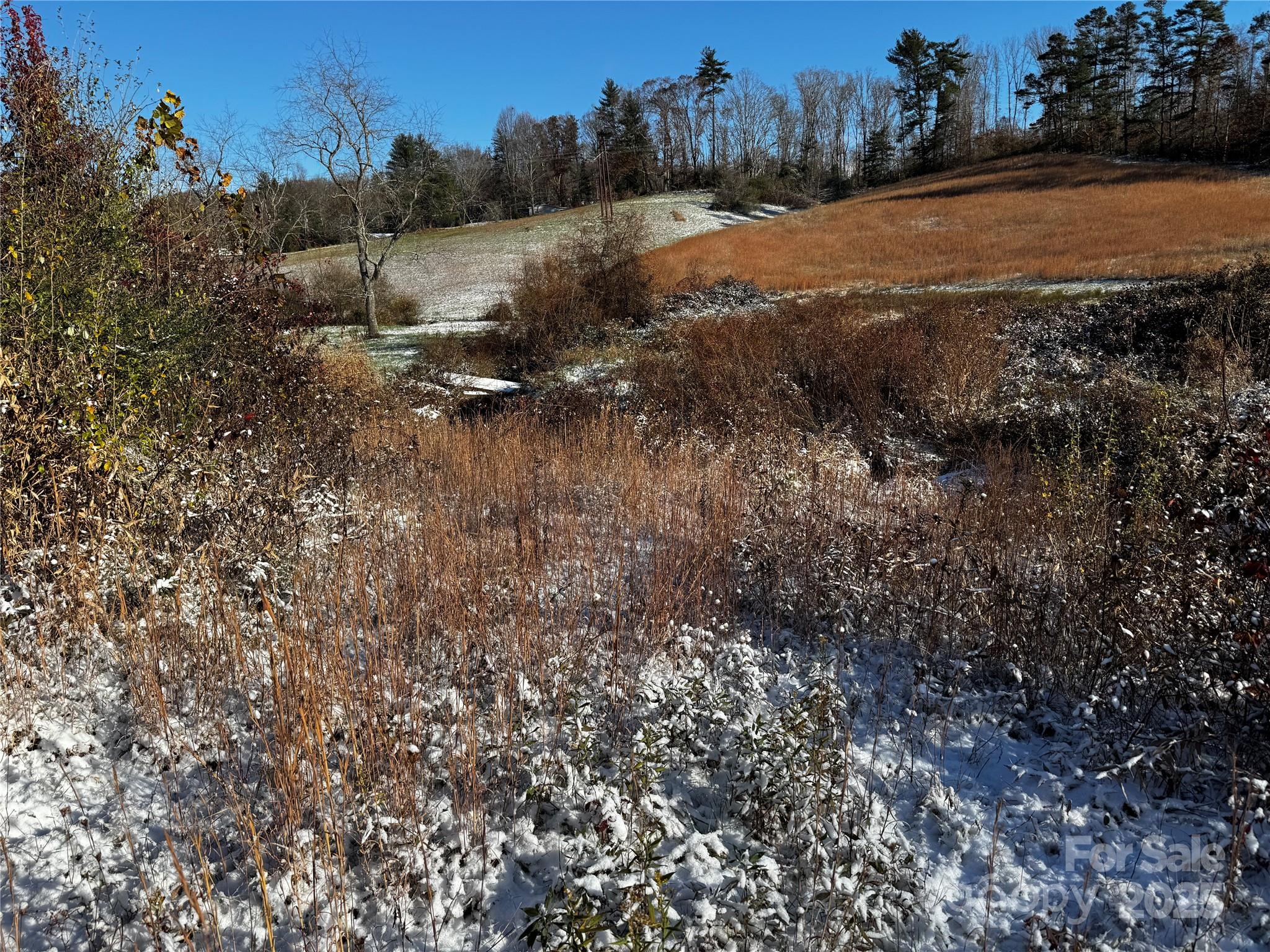 38 Flourish Farm Lane Asheville NC 28806