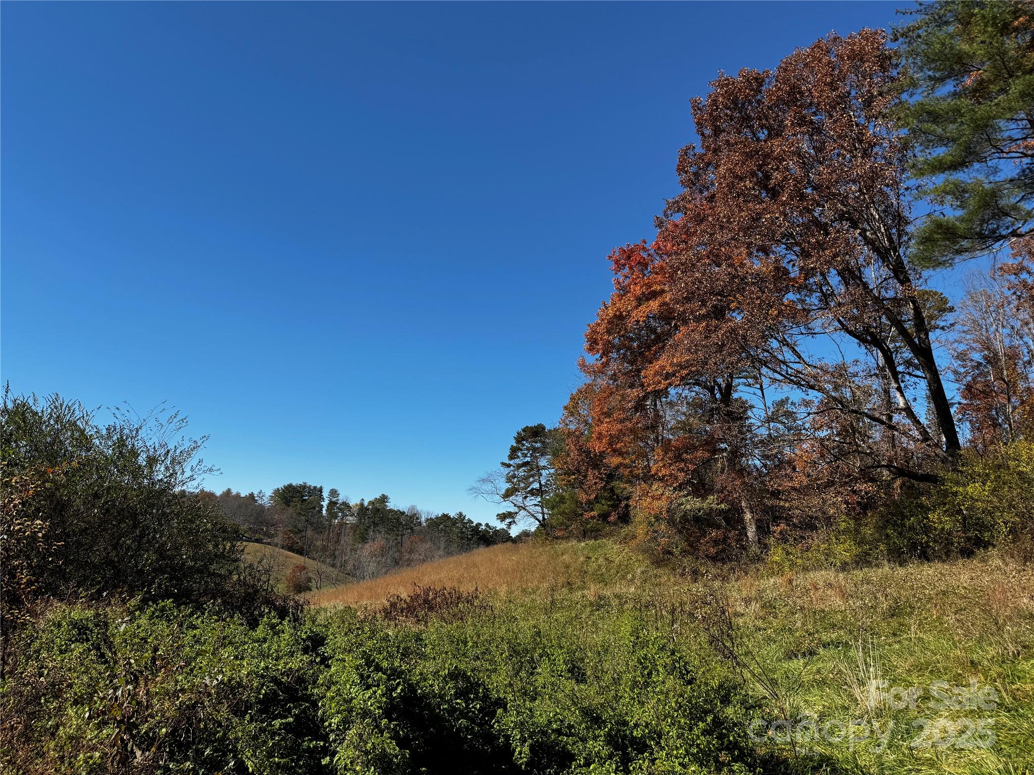 38 Flourish Farm Lane Asheville NC 28806