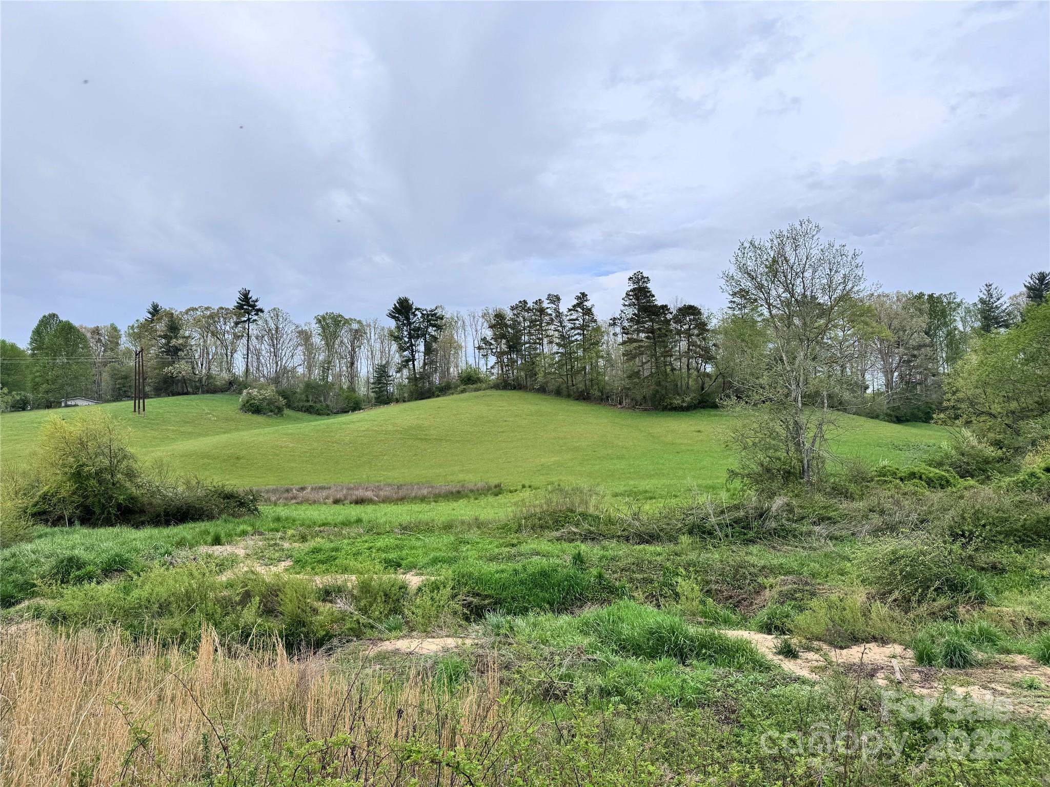 38 Flourish Farm Lane Asheville NC 28806