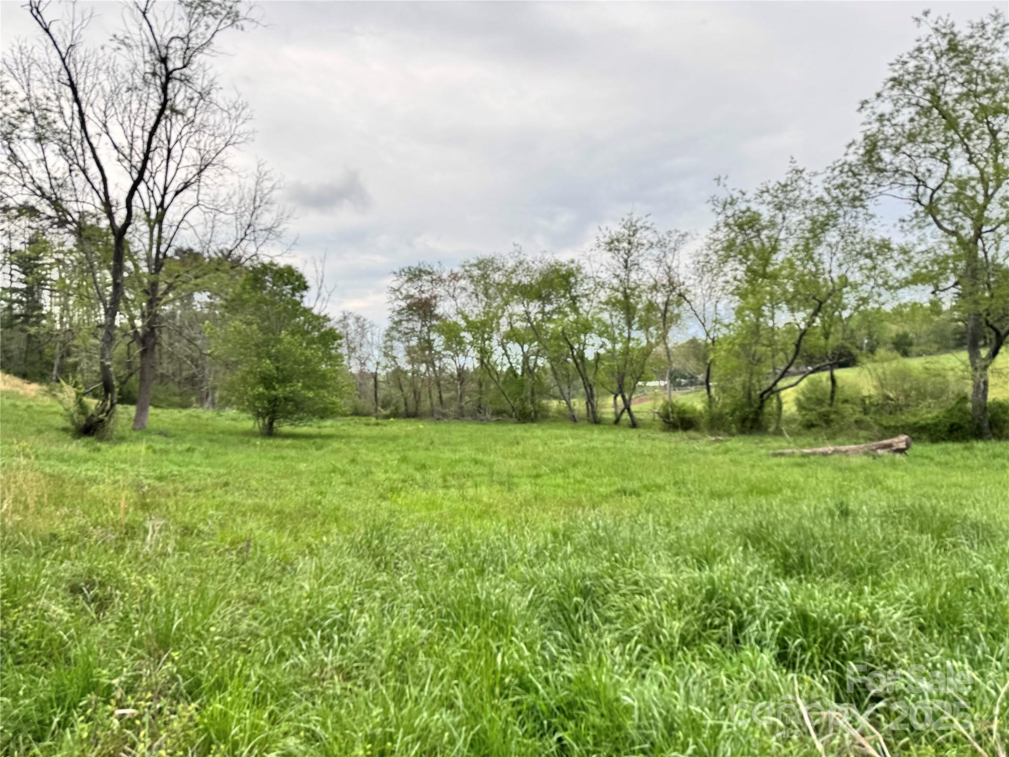 38 Flourish Farm Lane Asheville NC 28806