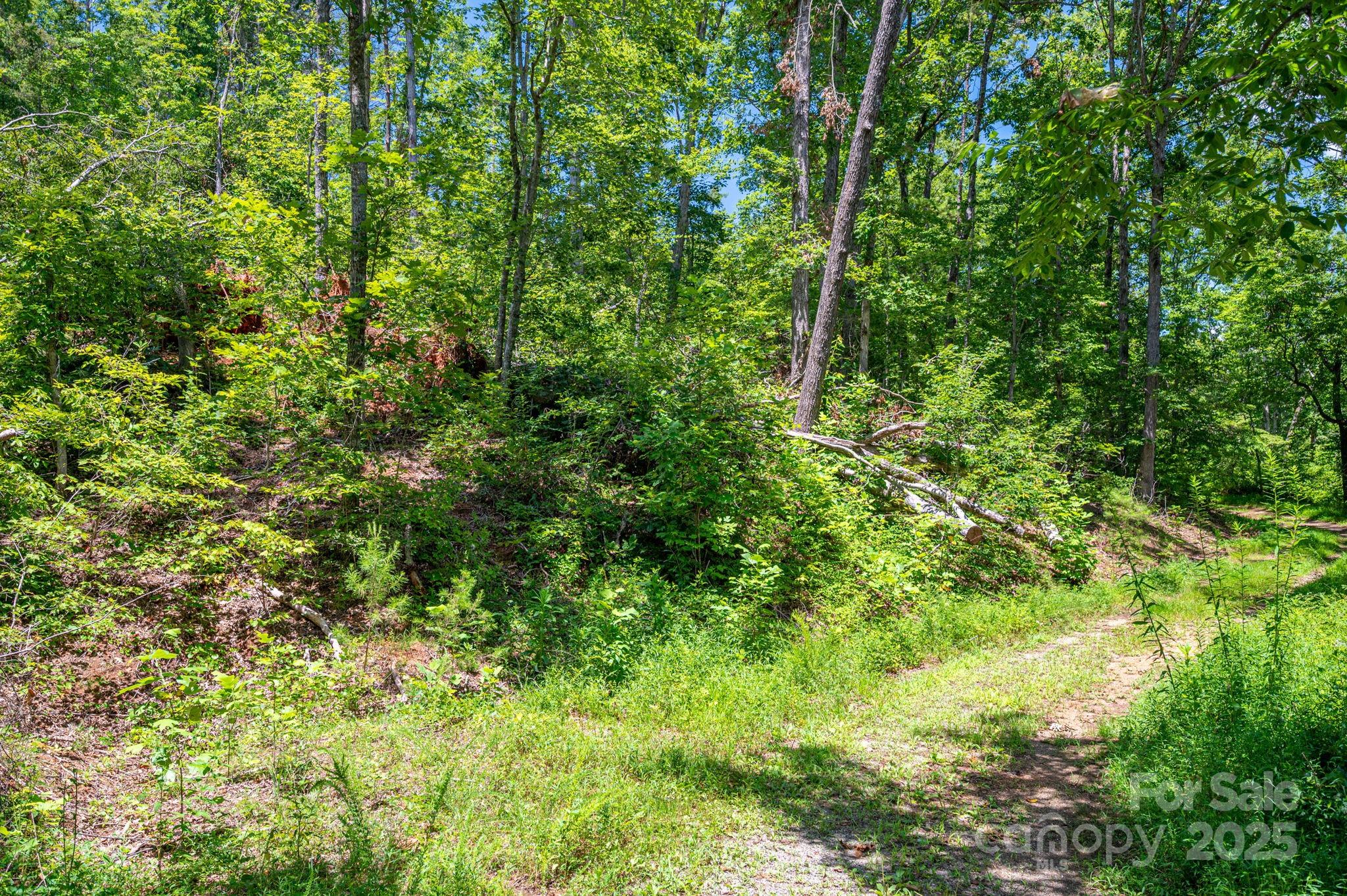 Lot 221 Plantation Drive Rutherfordton NC 28139