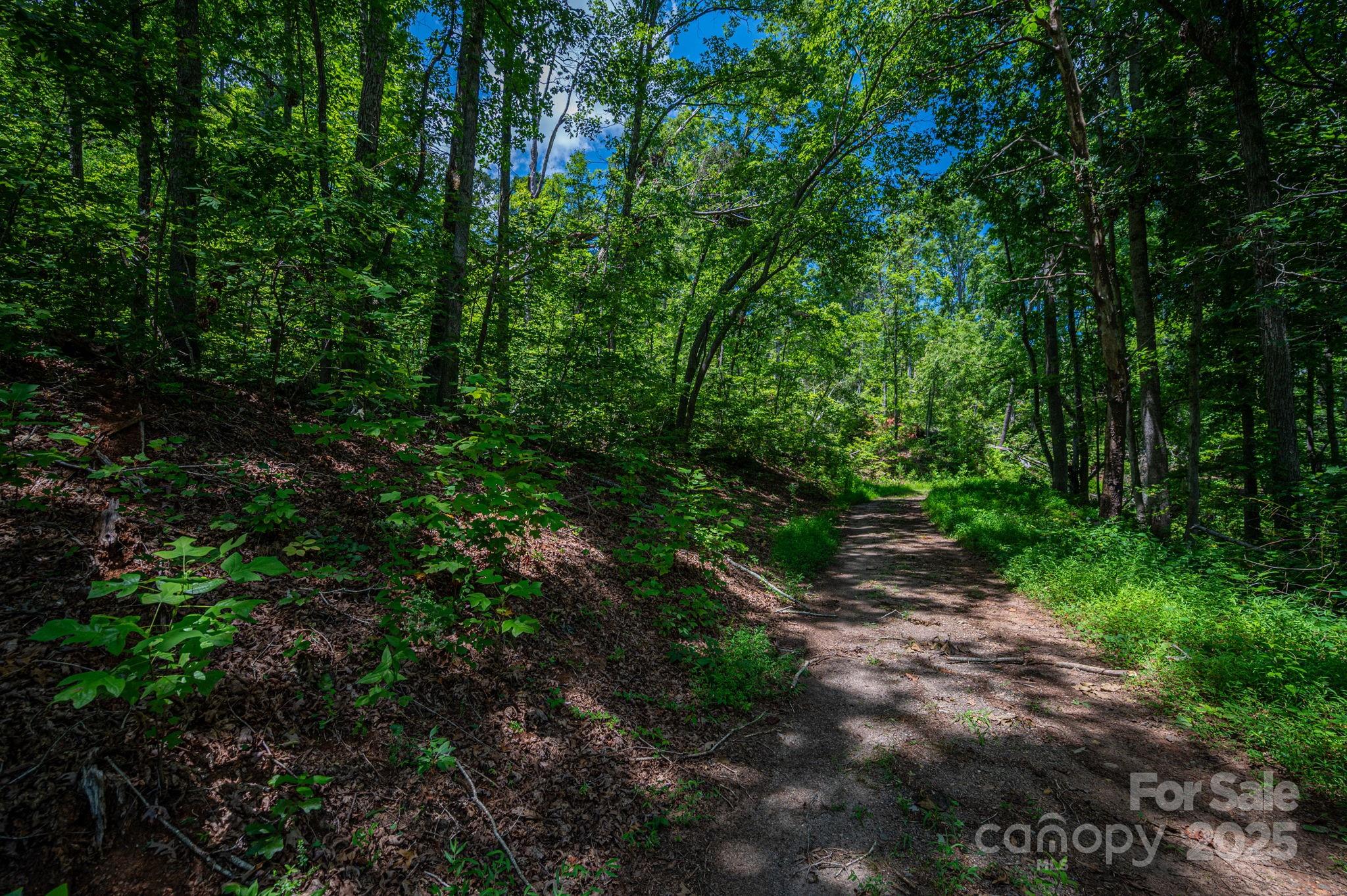 Lot 221 Plantation Drive Rutherfordton NC 28139