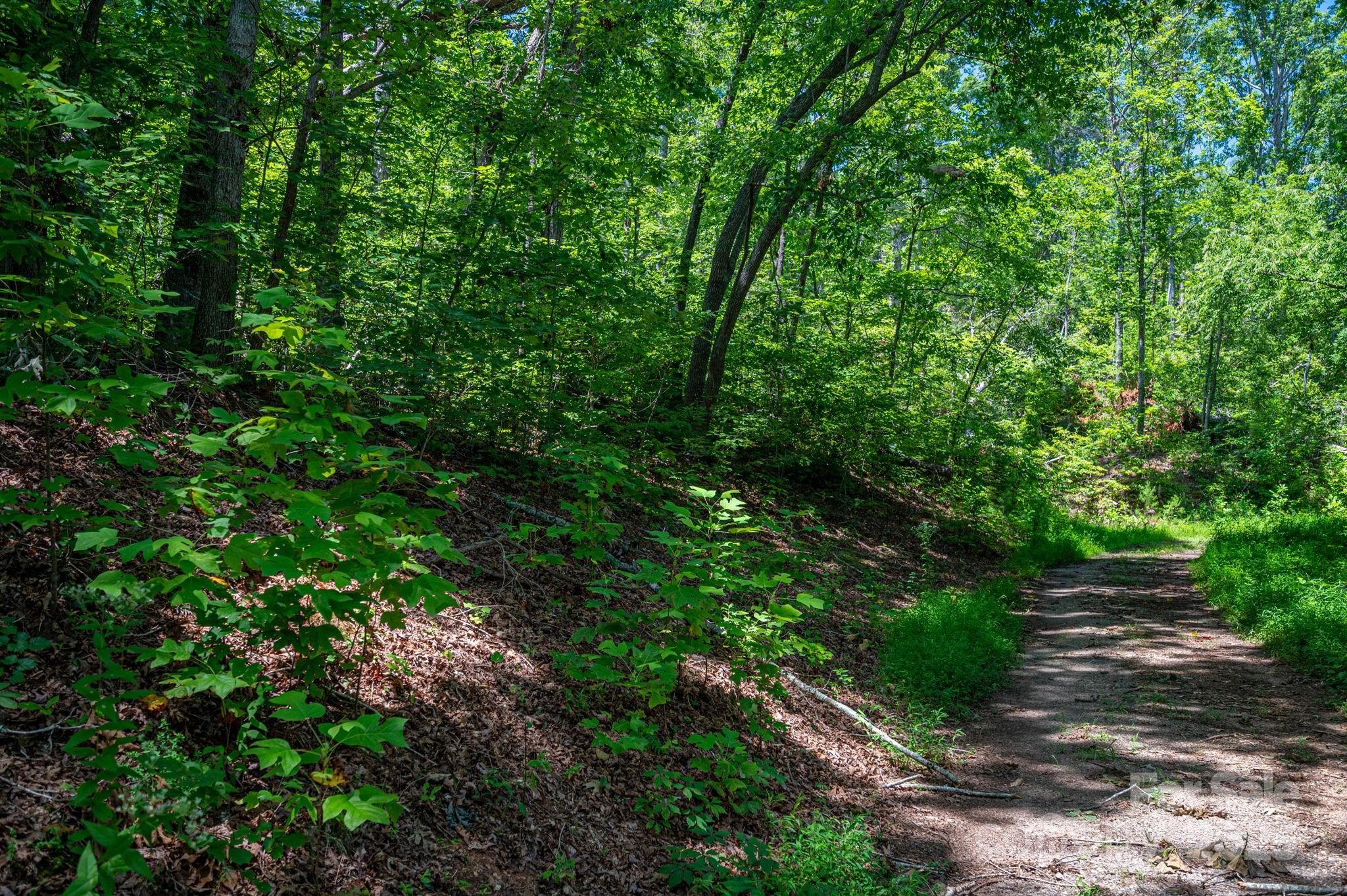 Lot 221 Plantation Drive Rutherfordton NC 28139