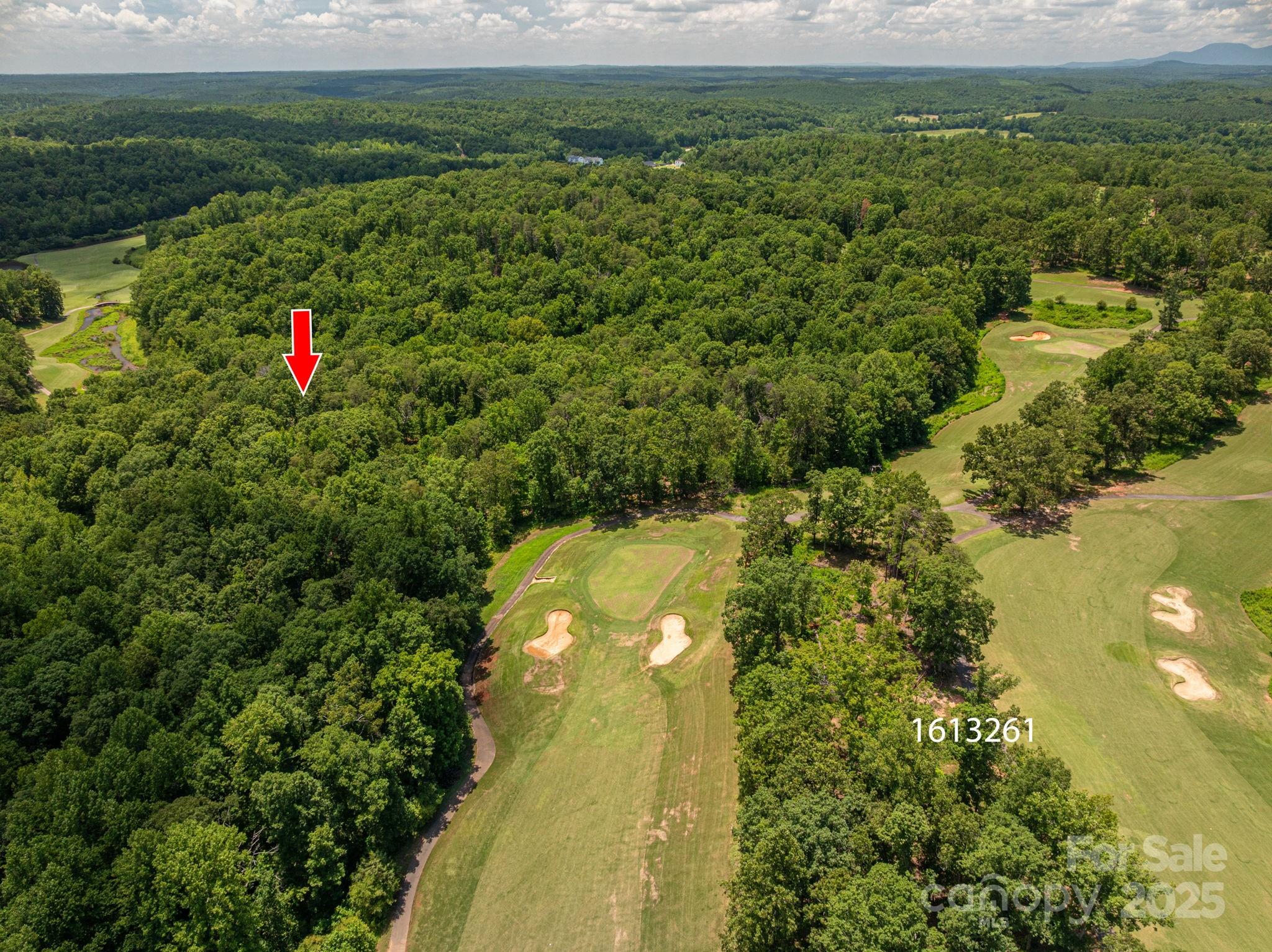Lot 221 Plantation Drive Rutherfordton NC 28139