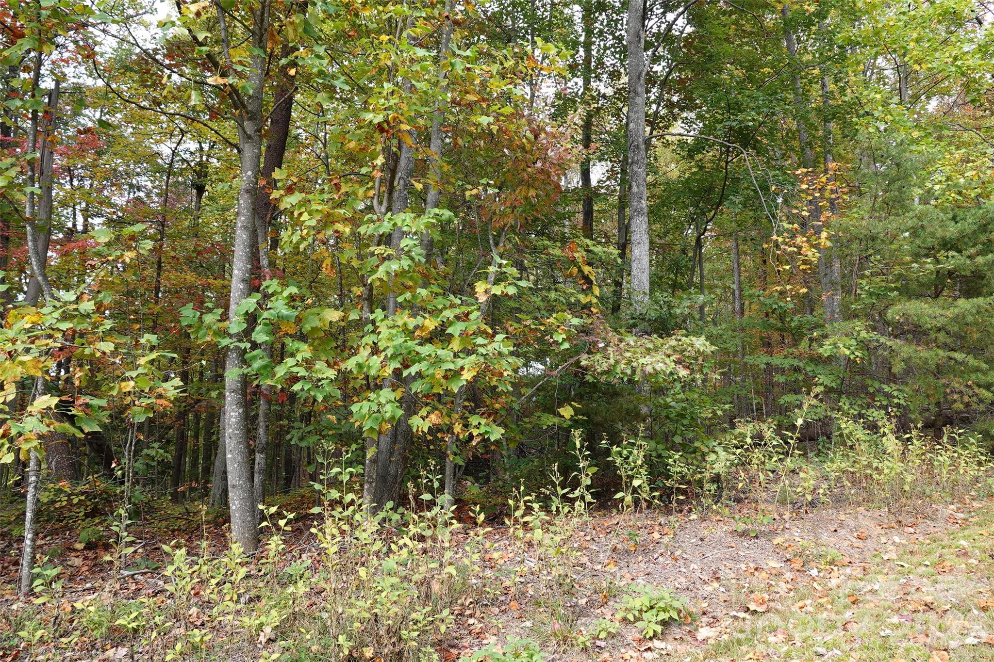 100 Sunset Drive Bostic NC 28018