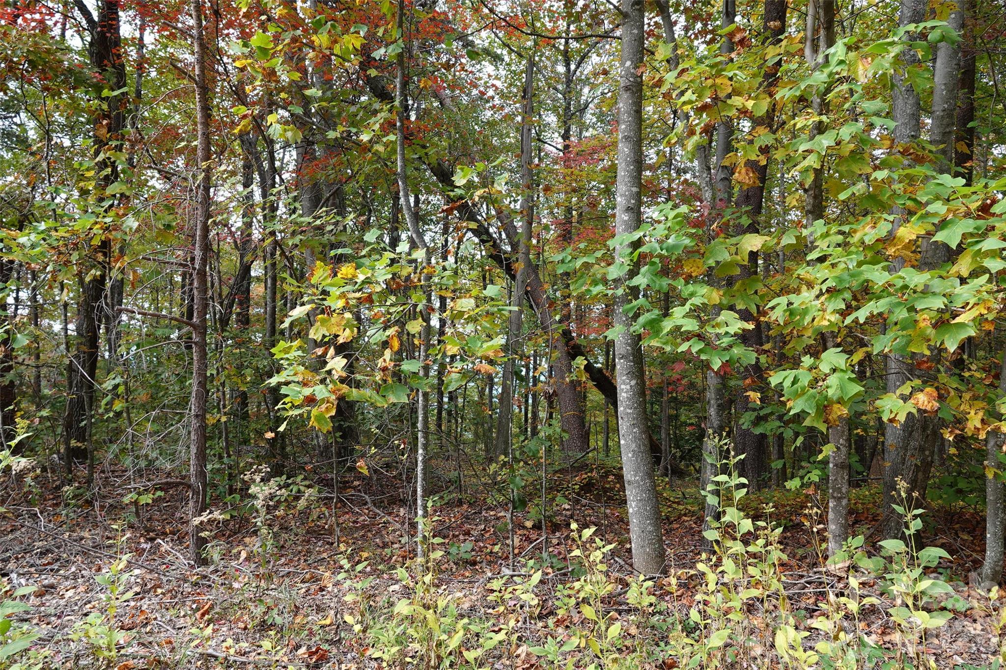 100 Sunset Drive Bostic NC 28018