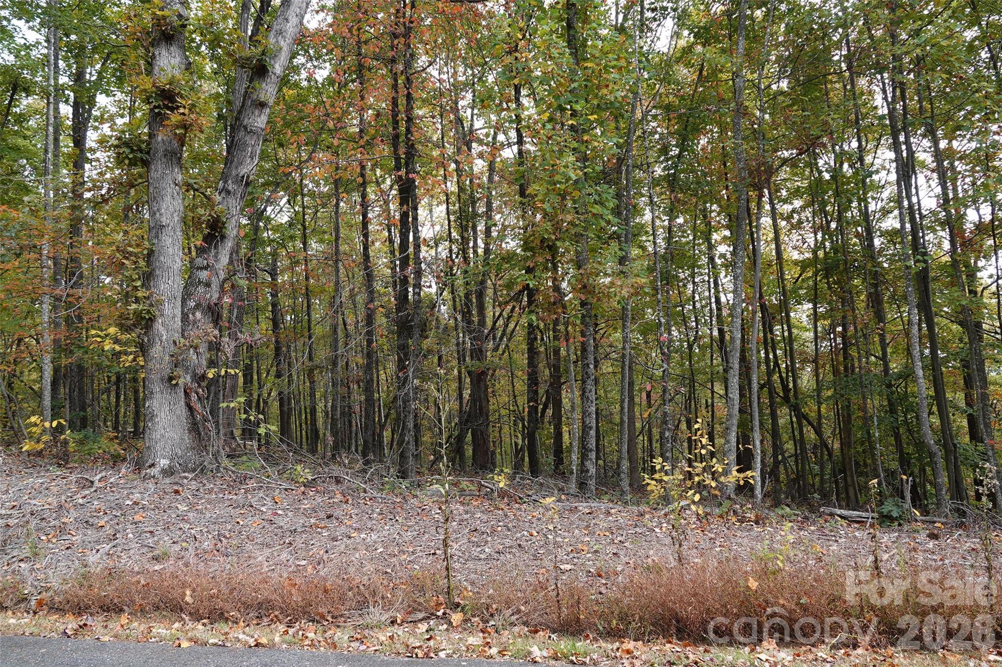 100 Sunset Drive Bostic NC 28018