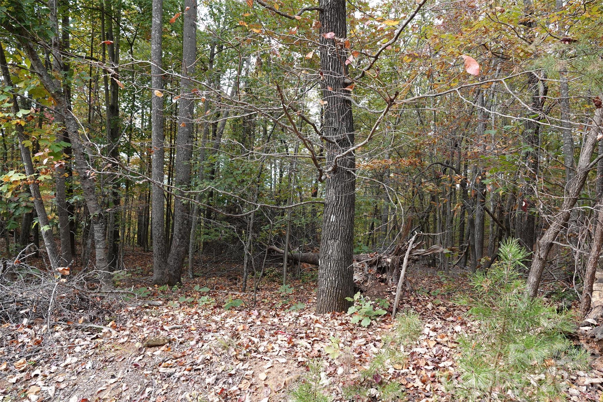 100 Sunset Drive Bostic NC 28018
