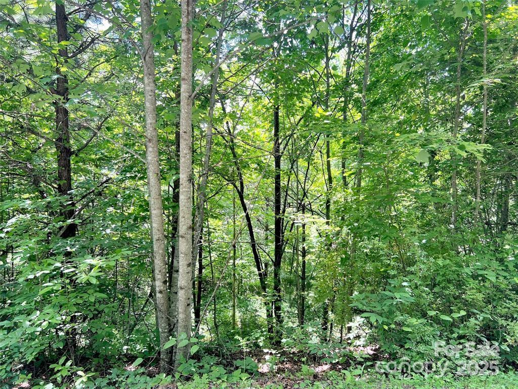 521 Signal Ridge Sylva NC 28779