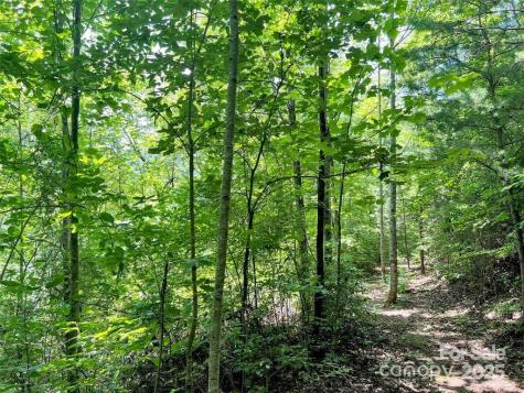 521 Signal Ridge Sylva NC 28779