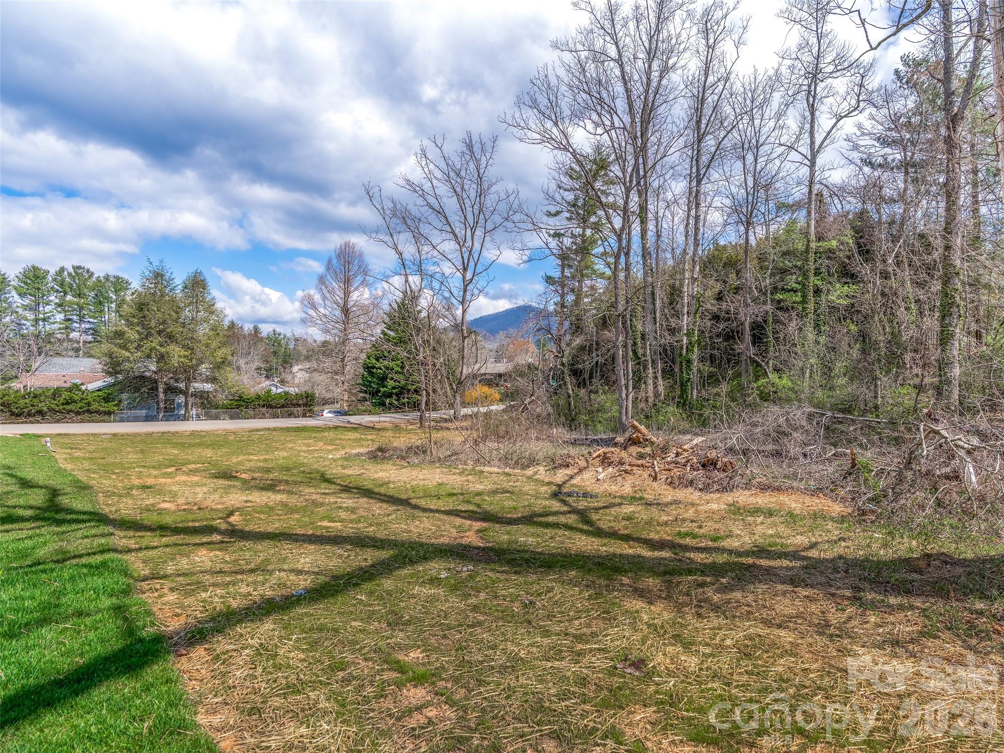 4 Overlook Place Asheville NC 28803
