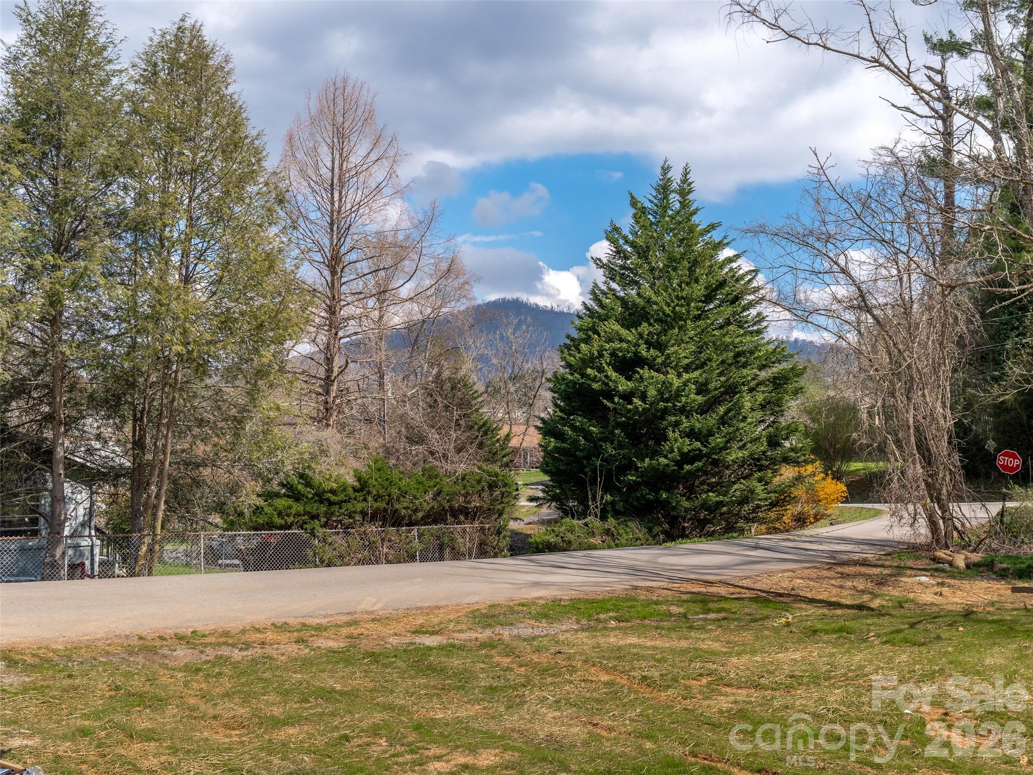 4 Overlook Place Asheville NC 28803