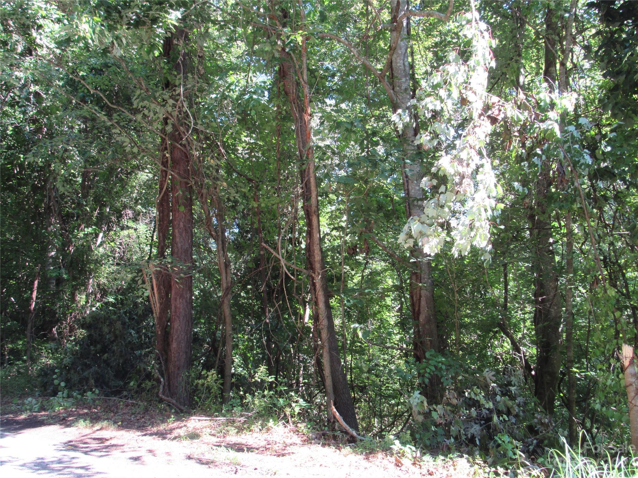 408 Day Lily Drive Leicester NC 28748