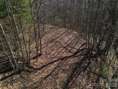 1165 Scenic Circle Waynesville NC 28786