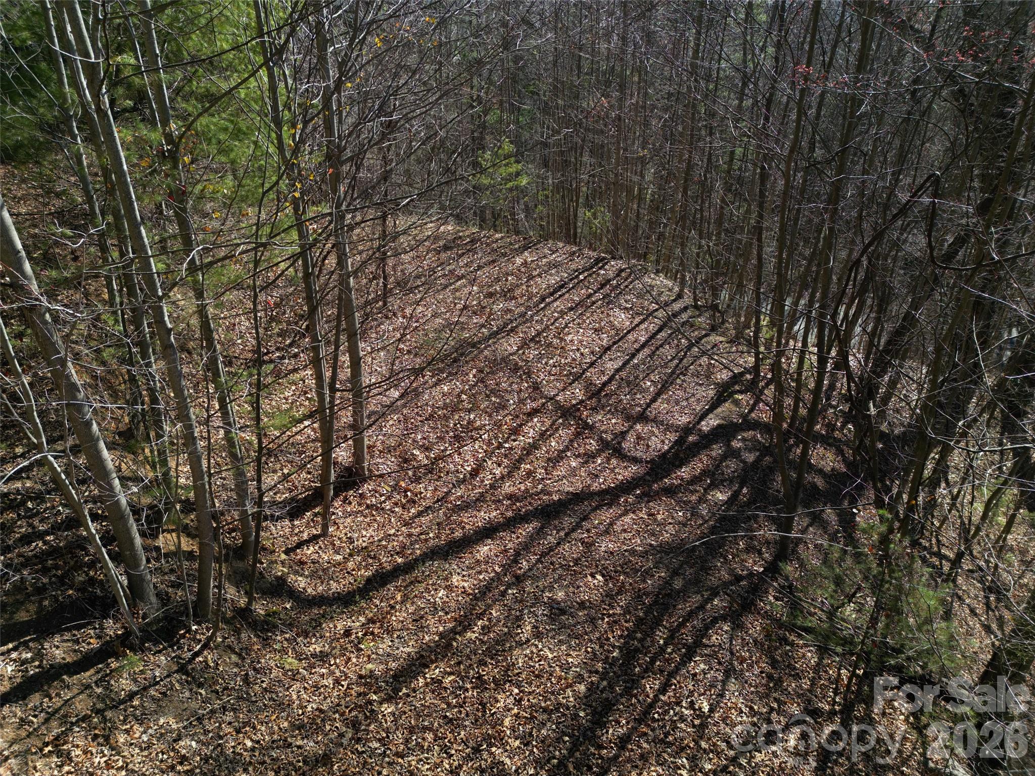 1165 Scenic Circle Waynesville NC 28786
