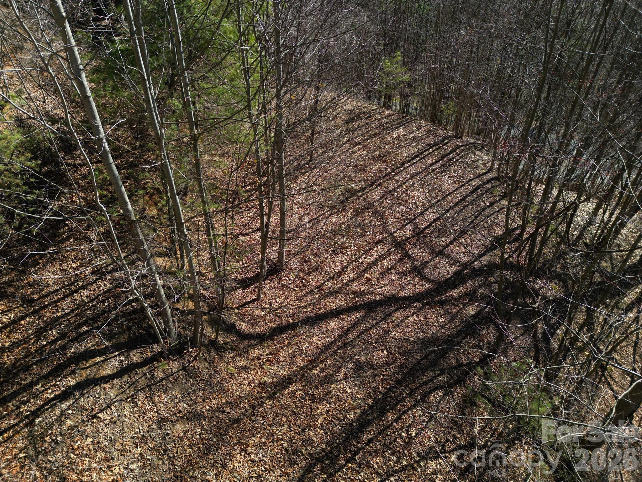 1165 Scenic Circle Waynesville NC 28786